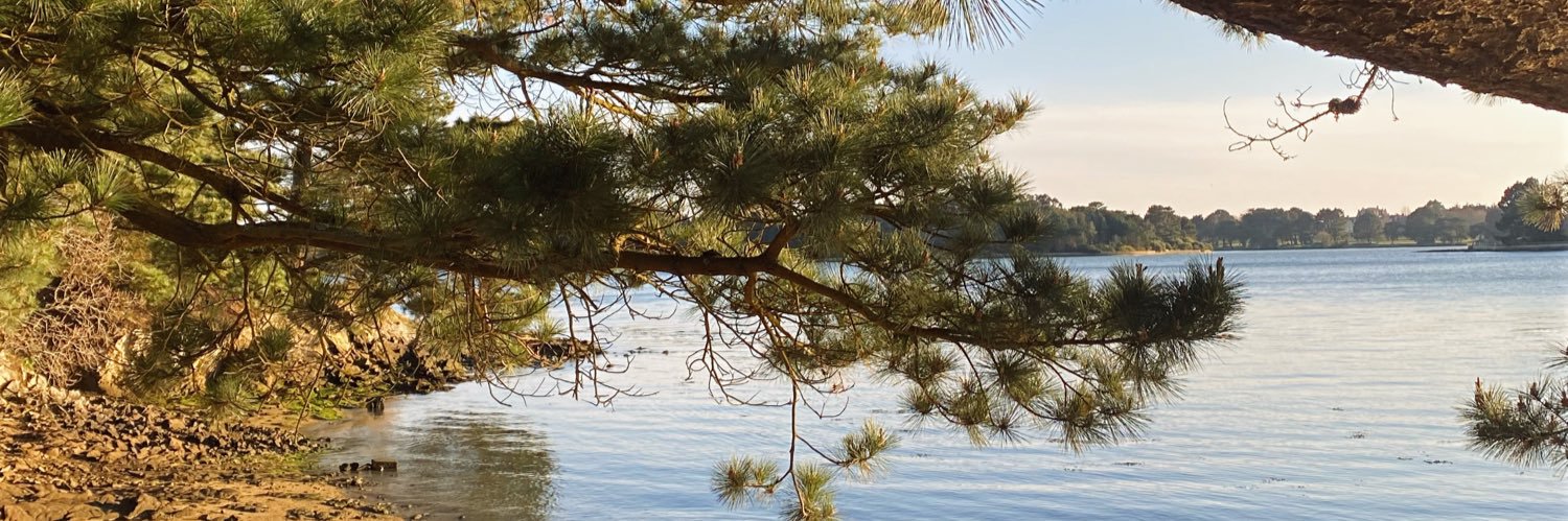 gurlmns's profile banner image