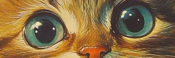 Janulo3 Profile Banner