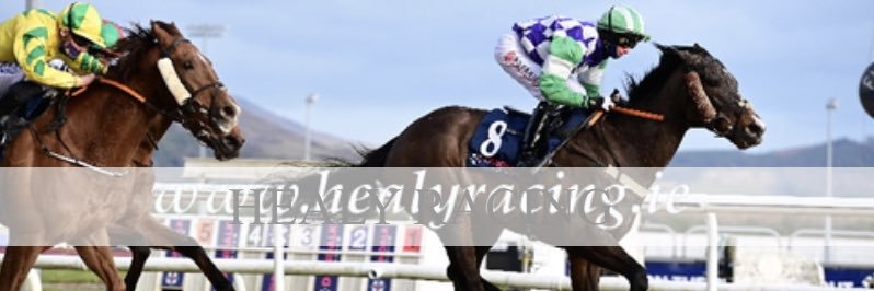 Alanpersse banner