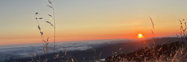 ScamAbsolutely Profile Banner