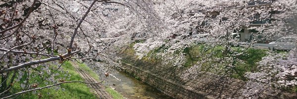 bandjournal Profile Banner