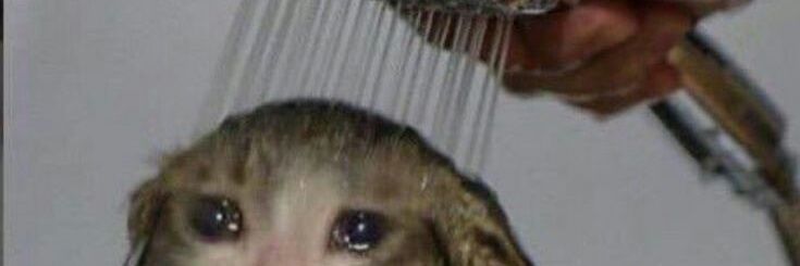 Imsdend's profile banner image