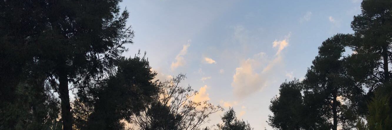 DuraidSara's profile banner image