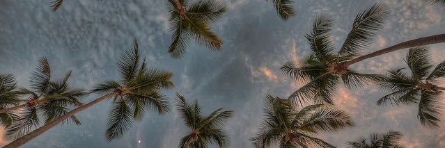 leydeglison's profile banner image