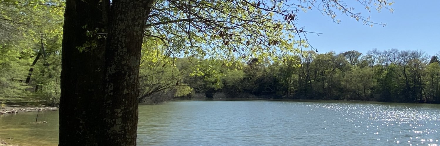 DGButterfield's profile banner image