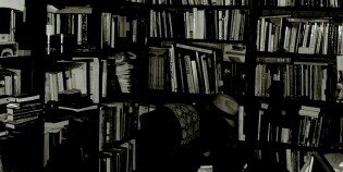 gatto_cass's profile banner image