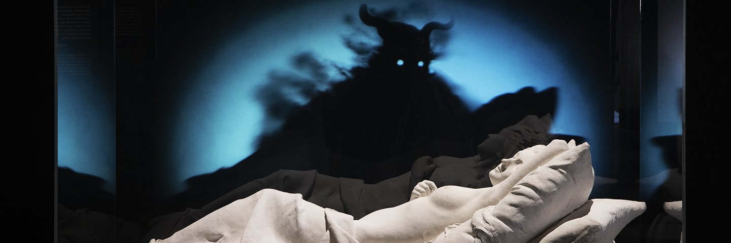 musée des Confluences's banner