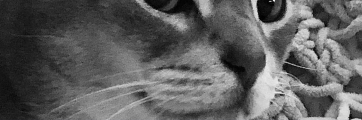 Keri_LLB's profile banner image