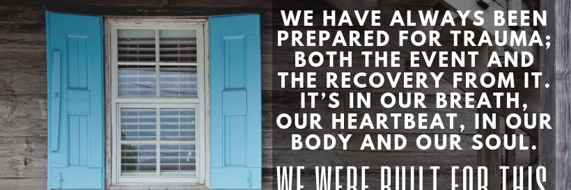 WholeHouseCC's profile banner image