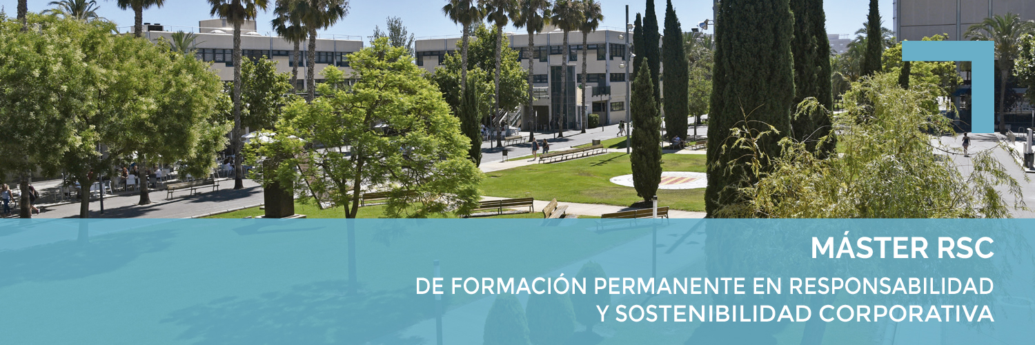 Máster RSC UPV banner