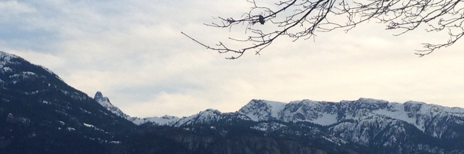 amyj0220's profile banner image