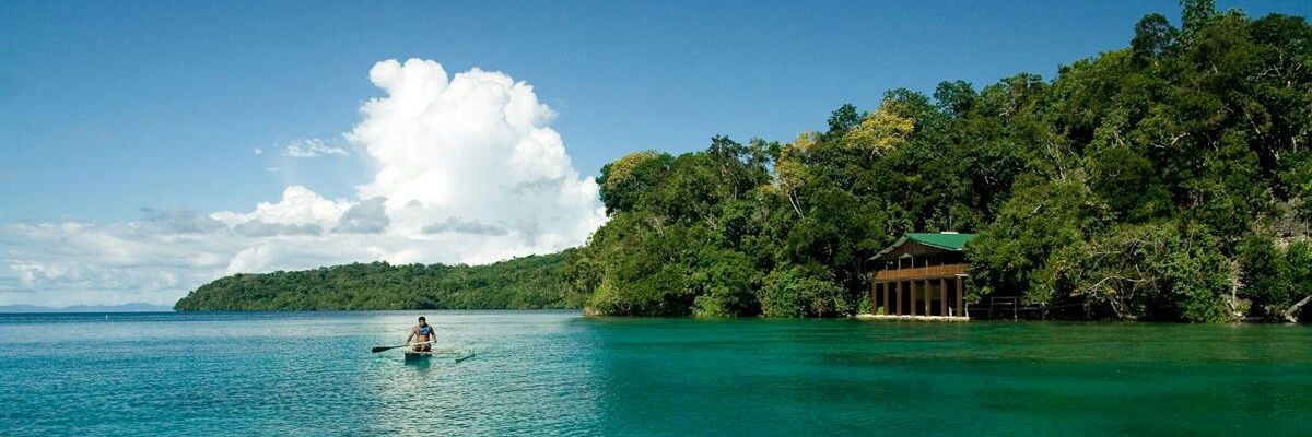 Iswallowcm9's profile banner image