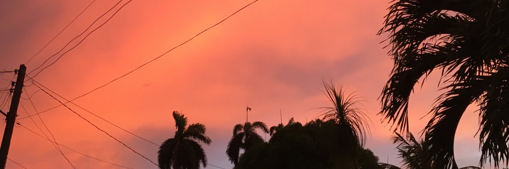 Lucie banner