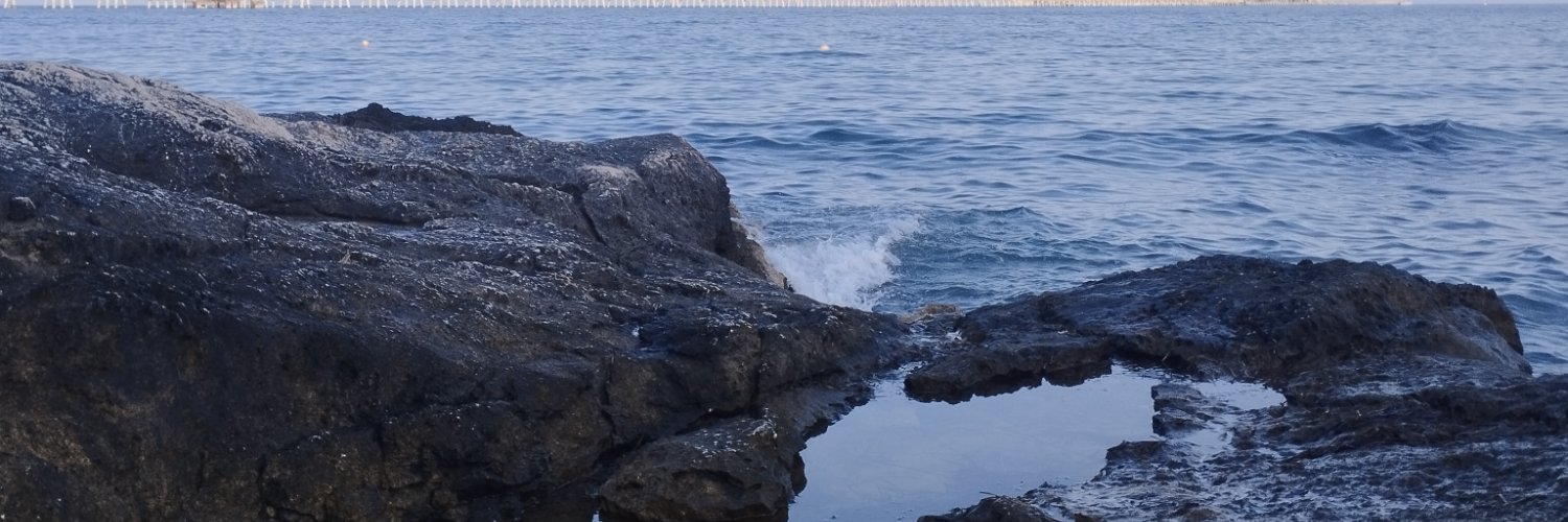 nottivago 🌹 banner