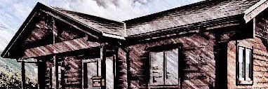 fourtailscat's profile banner image