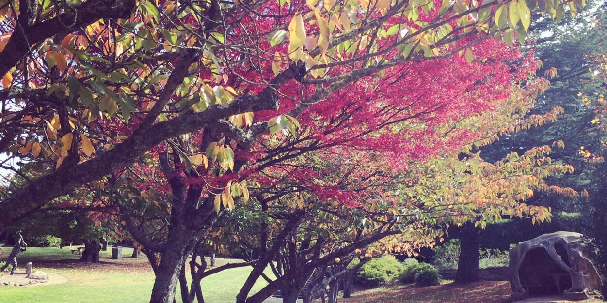 Papae_pae's profile banner image
