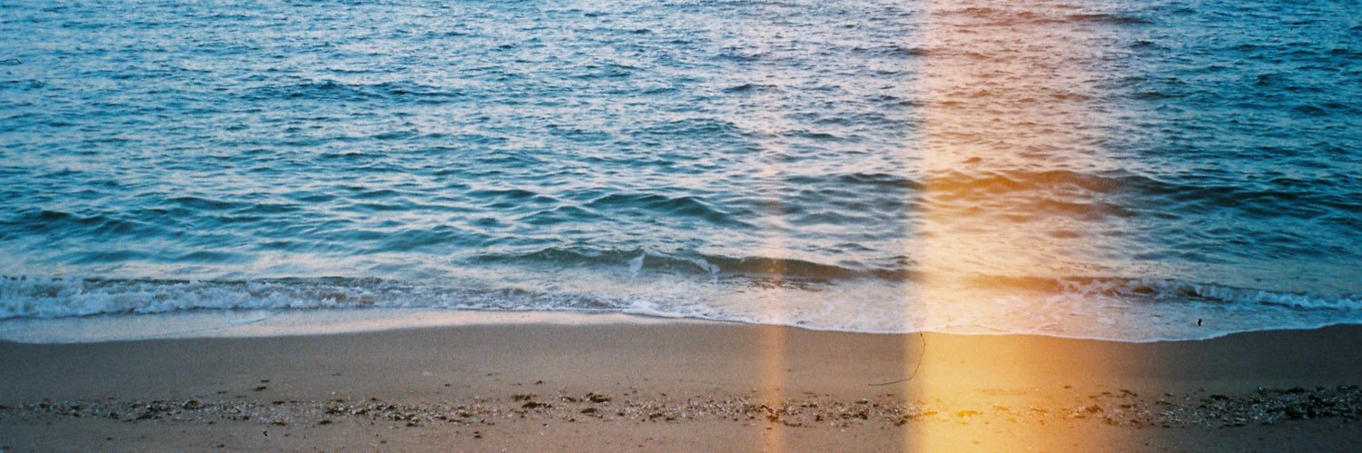 Coco Beiye Li banner