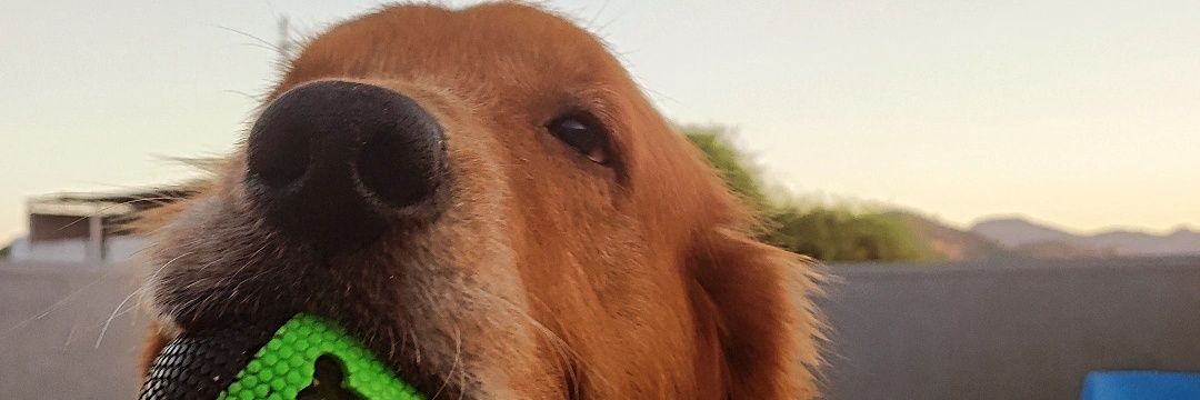 patrickvalenca's profile banner image