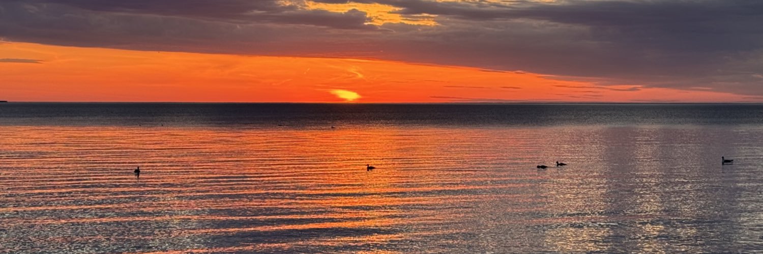 Lake Michigan's banner