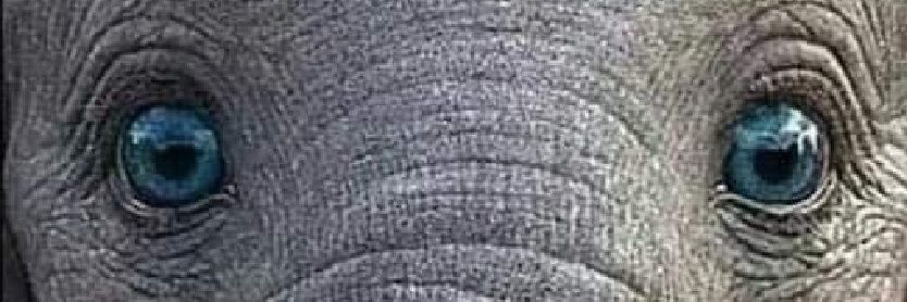 Shirish Adhav banner