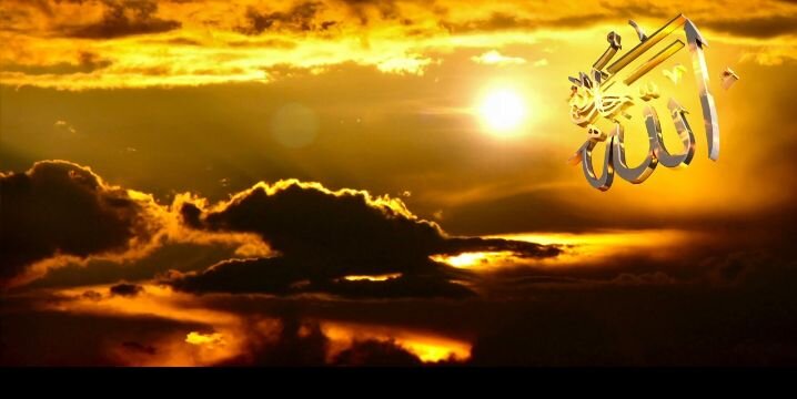 lbnayesh1's profile banner image