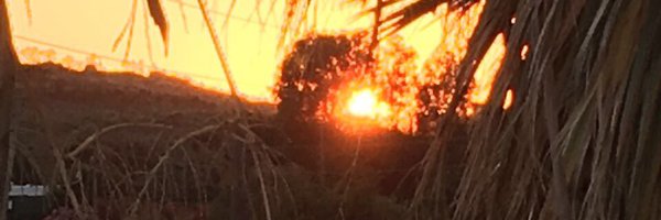 guloguz_ Profile Banner