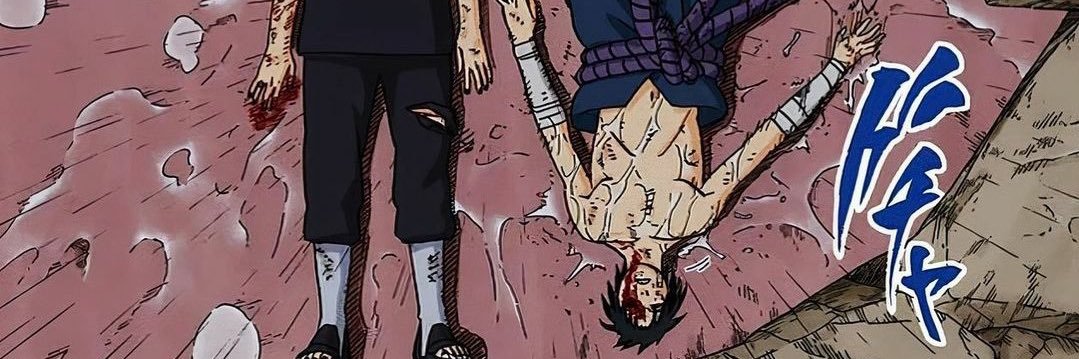 latina lover banner