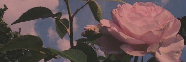 zidatdio's profile banner image