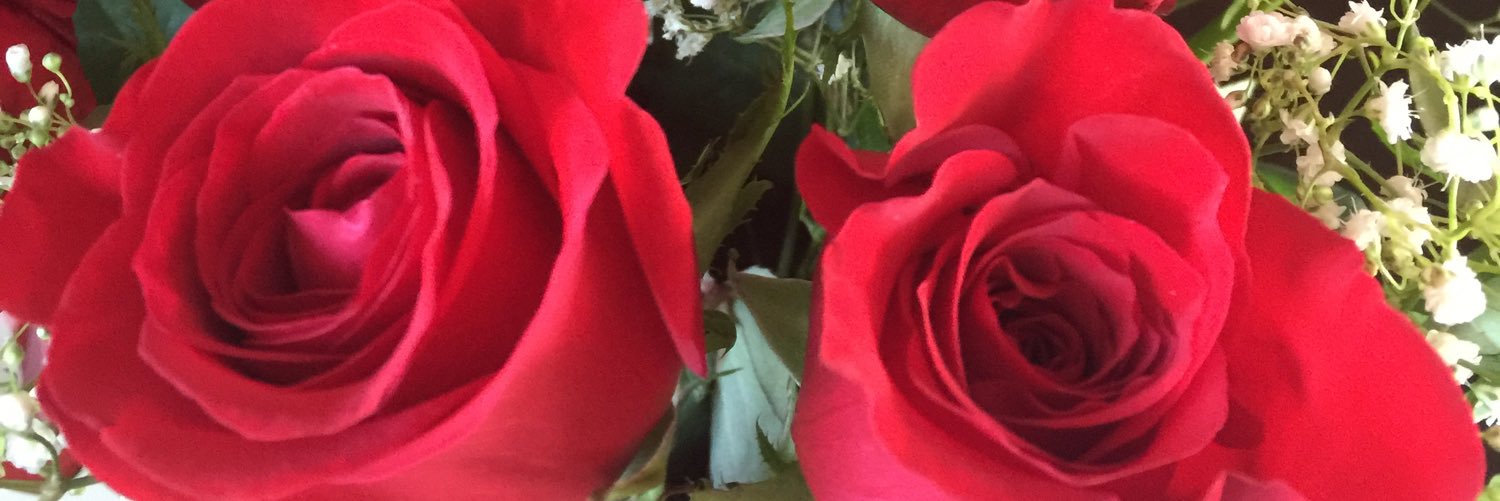 DonnaMBacker's profile banner image