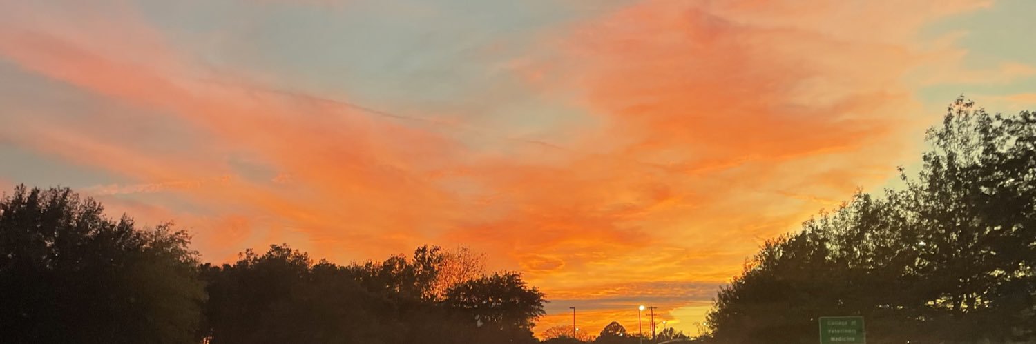 peytonroedder's profile banner image