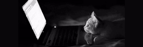 SueWindley Profile Banner