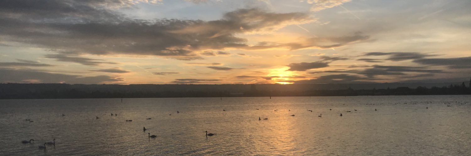 Christof Rink banner