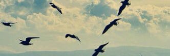 RabyaOmer's profile banner image