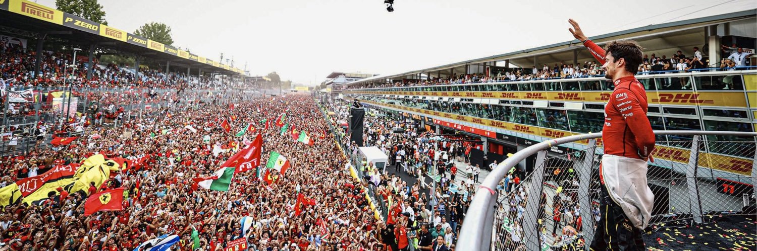 Diana Allendes banner