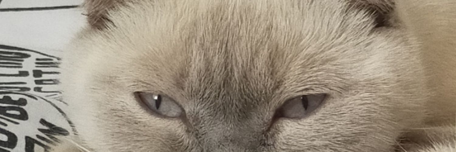 burzum44's profile banner image