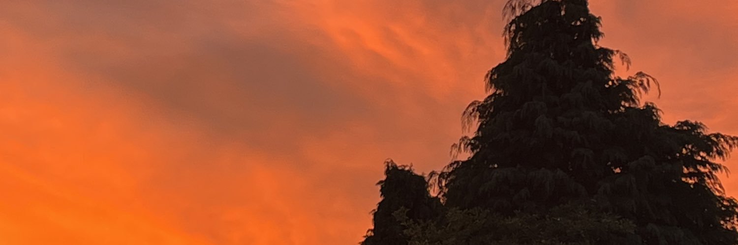 Nigel Adams banner