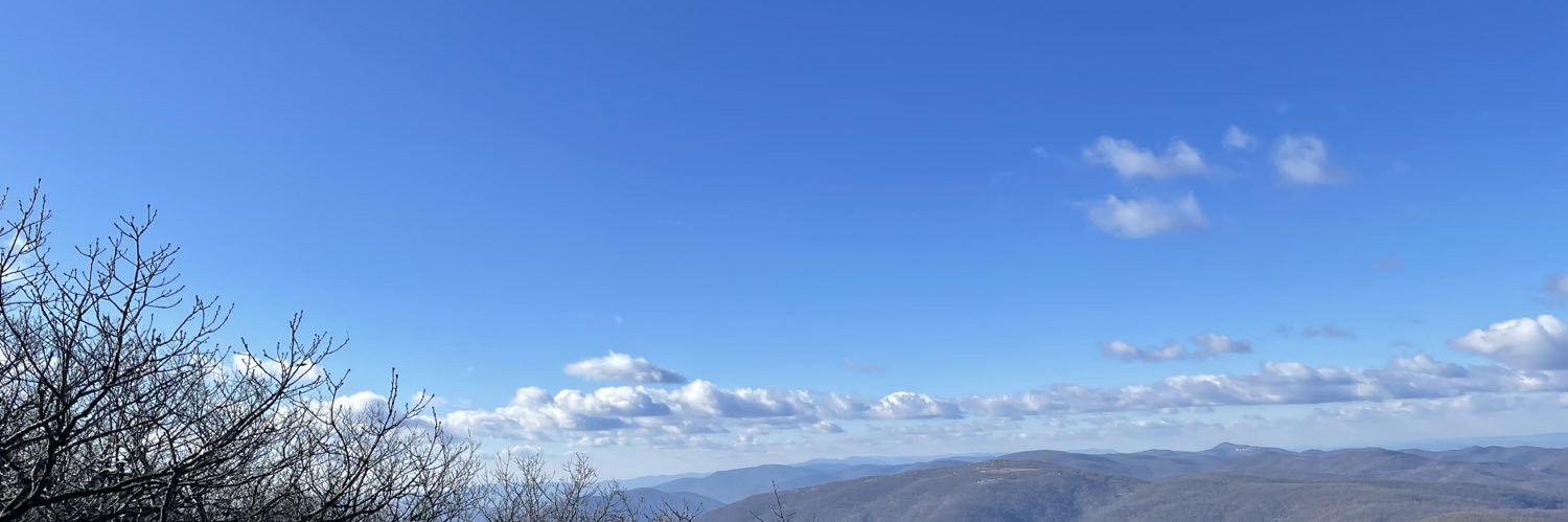 Bobbi O'Brien banner