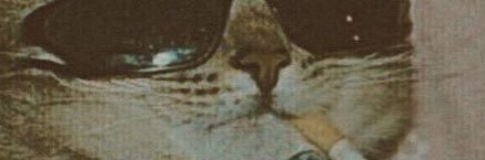 alex banner