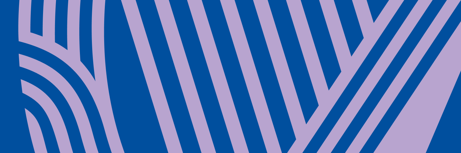 Irish Independent Business banner