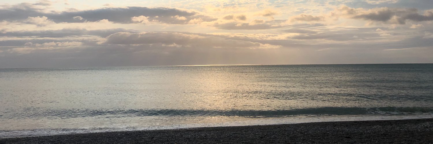 Caitriona Fottrell banner