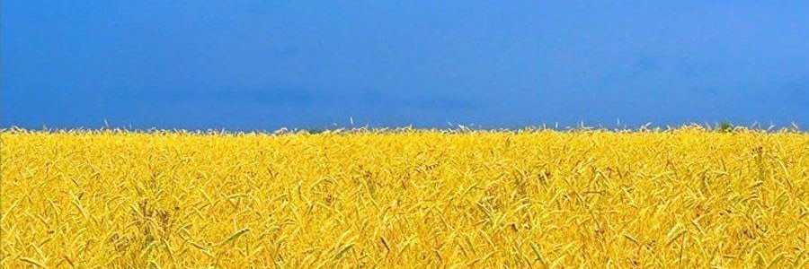 Файна Дівка's banner