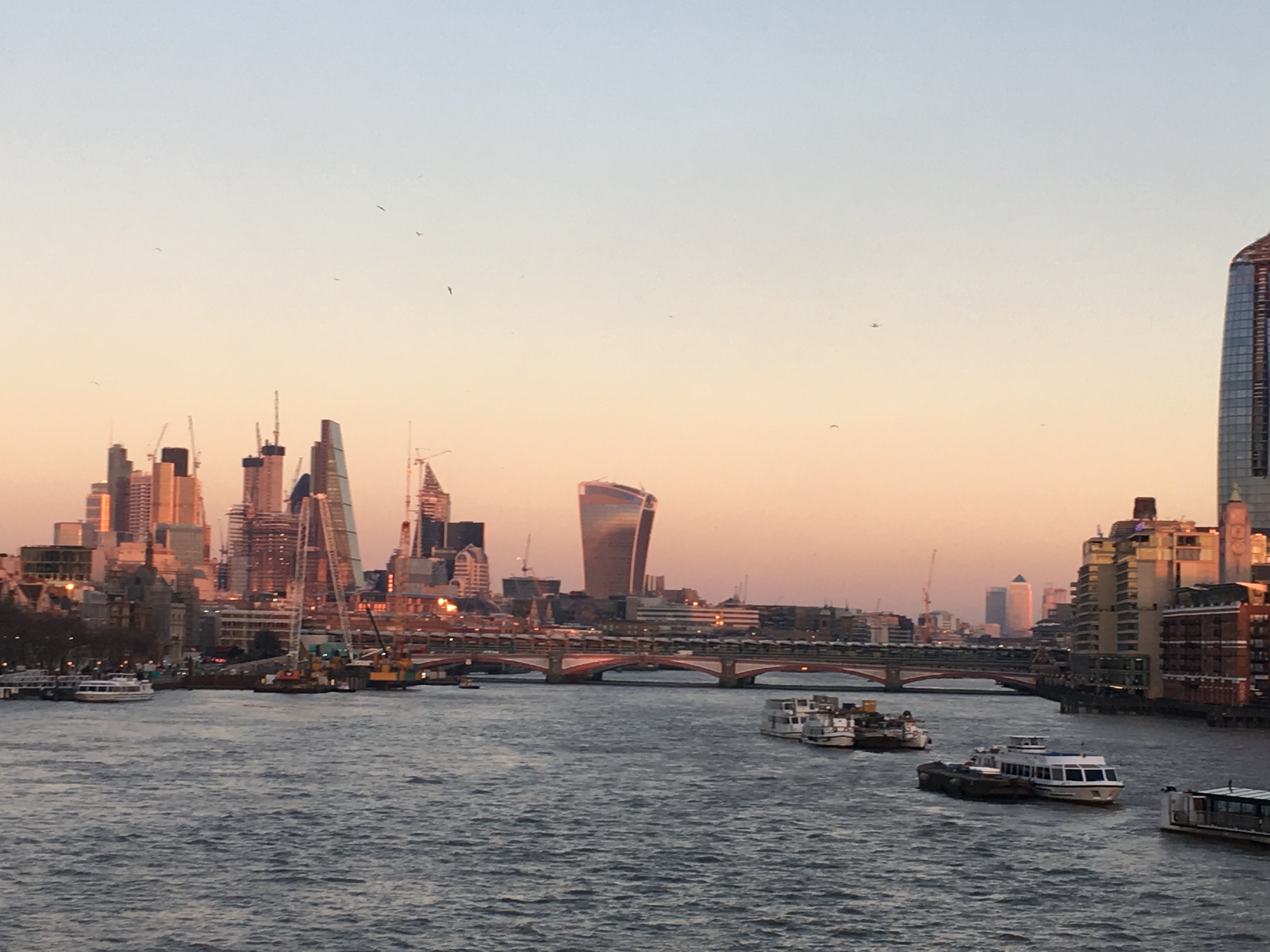 London Tour Guide and pub Guru banner