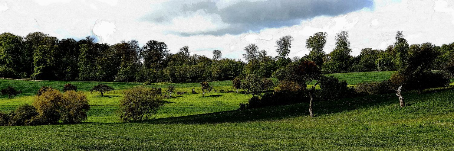 Herr Golanum 🦿🦿 banner