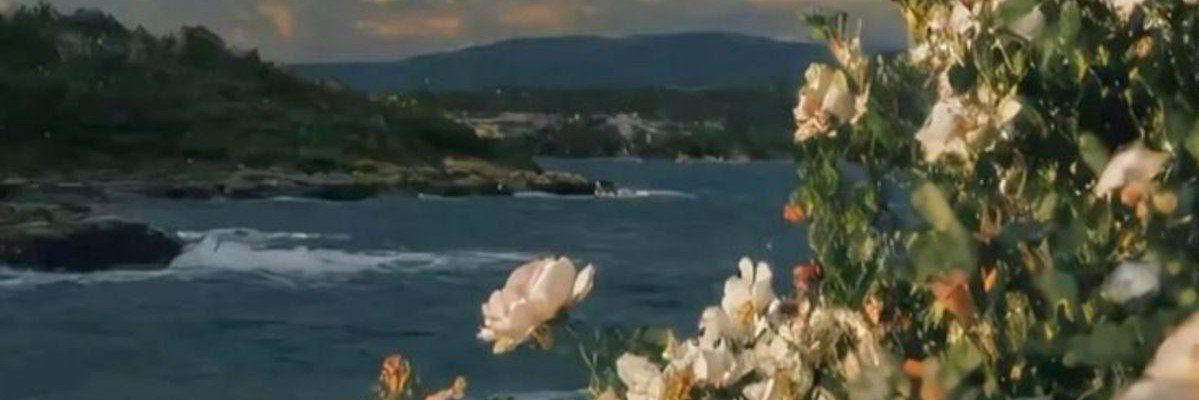 essmos1's profile banner image