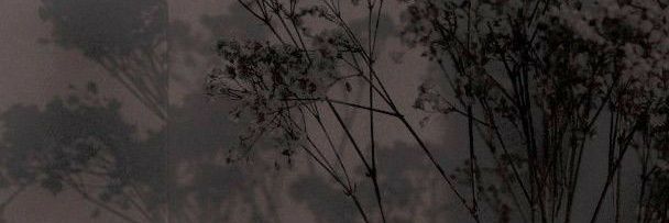 cheoltattouille's profile banner image