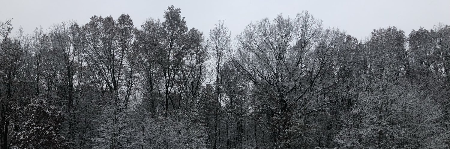 pams26's profile banner image