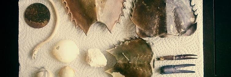 baskinger's profile banner image