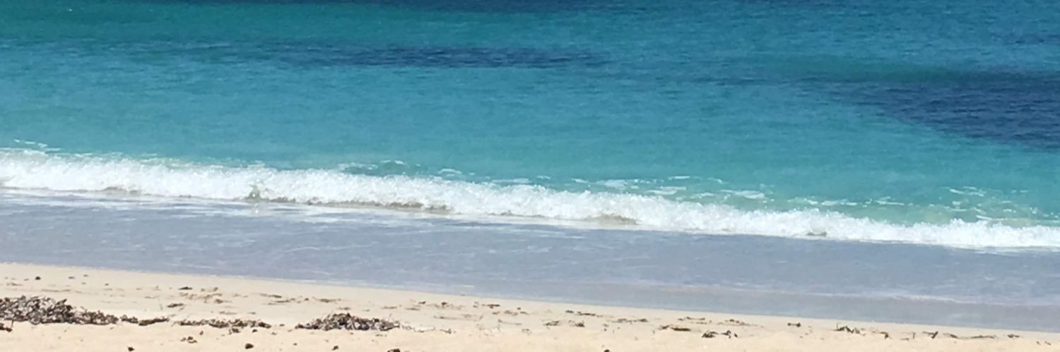 HappyToBeBlue banner