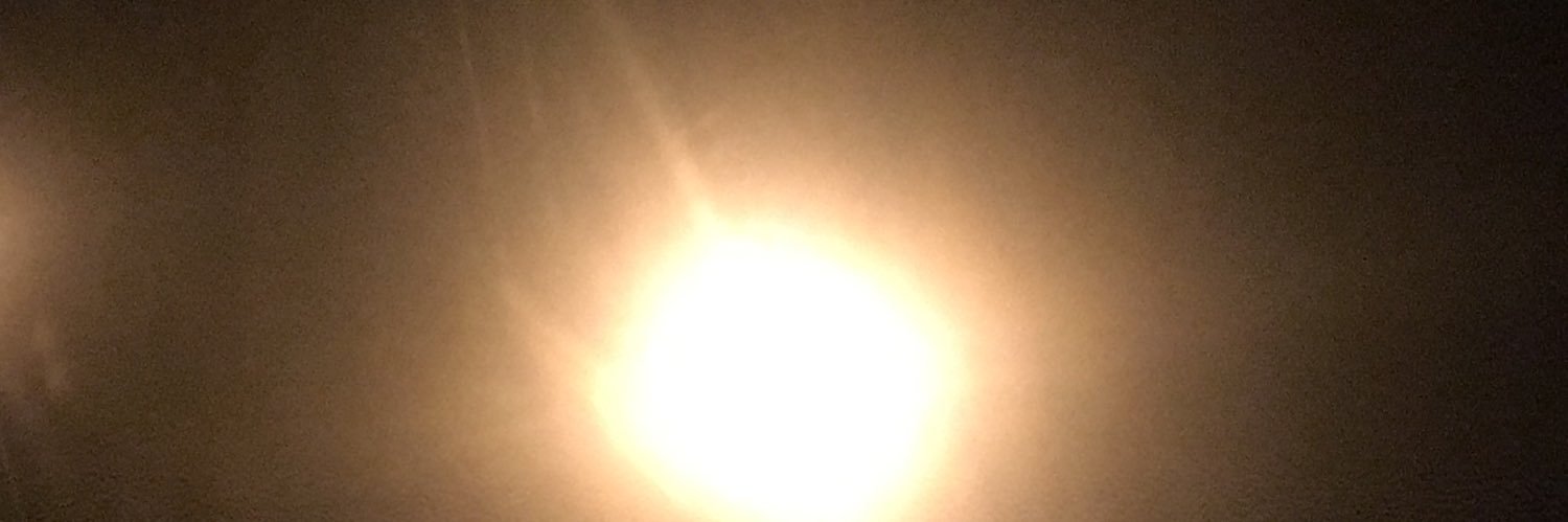 Saksıdaki Çiçek banner