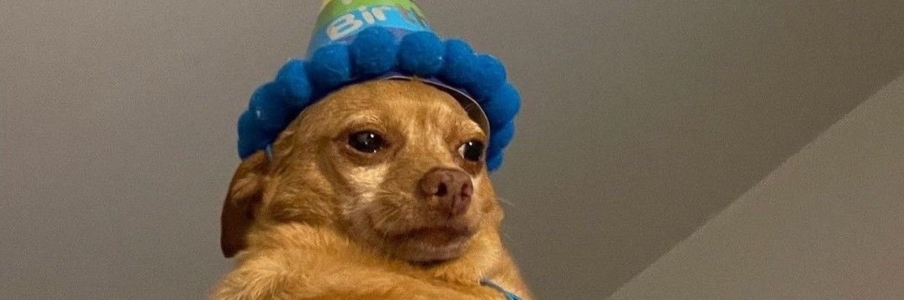 fredoLps's profile banner image